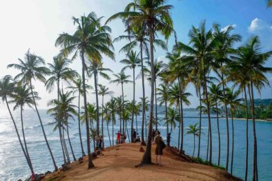 Tour Packages in Sri Lanka